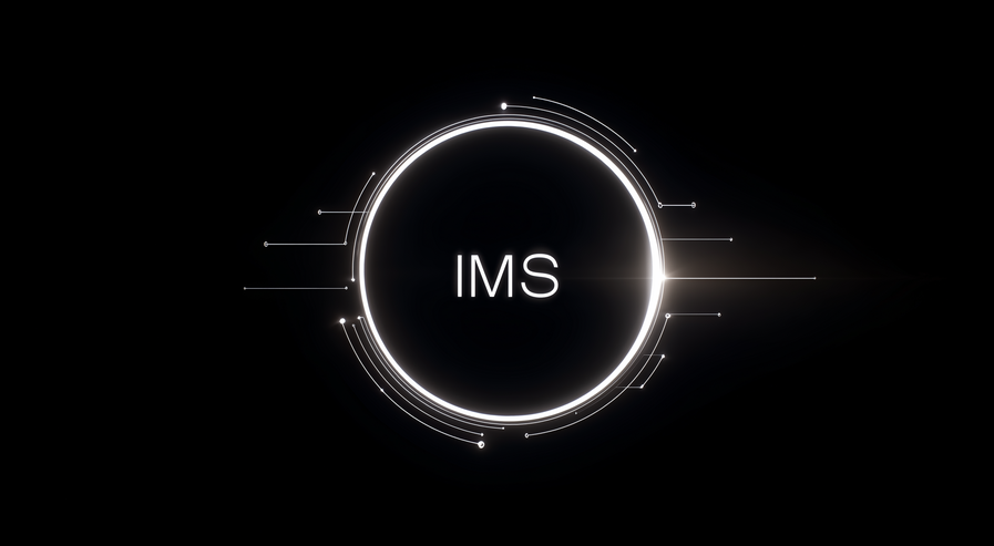 Integriertes Managementsystem (IMS)